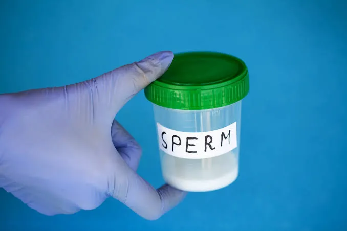 Sperma sayı və keyfiyyətini necə artırmaq olar?